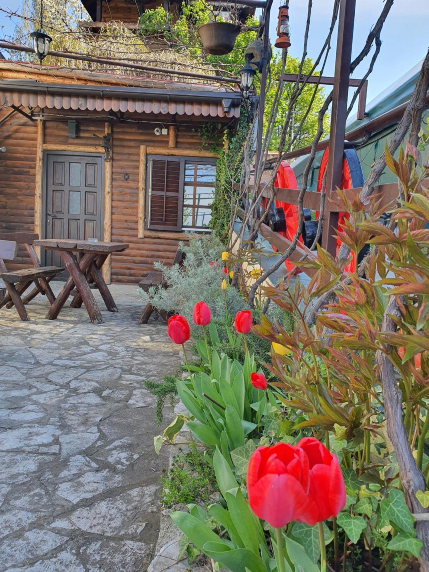 Set Гостевой дом 3*